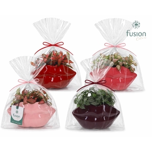 Keramiek Lippen planter met Fittonia