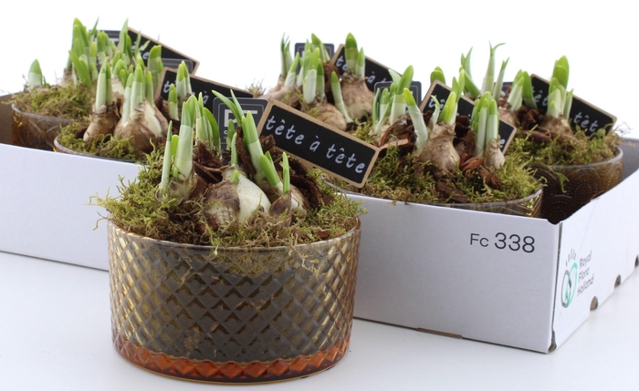 <h4>ARR N TETE A TETE</h4>