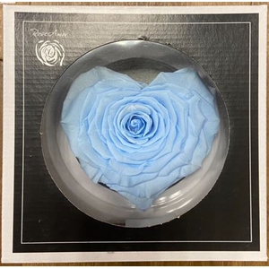 Pr 1.1 Corazon Blu089