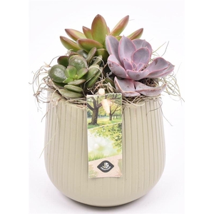 Keramiek vert.lines khaki mat 12cm