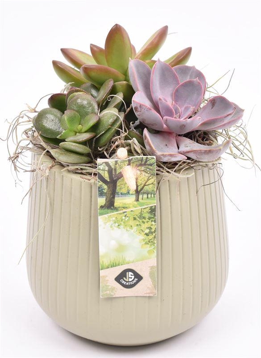 <h4>Keramiek vert.lines khaki mat 12cm</h4>