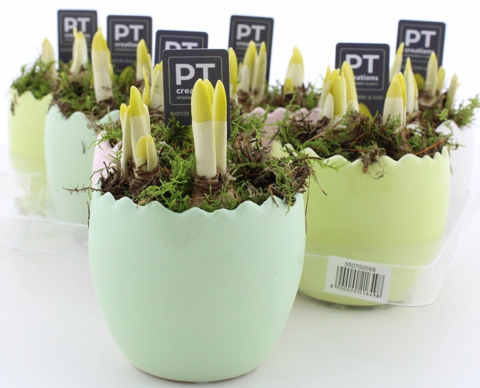 <h4>ARR N TETE A TETE</h4>