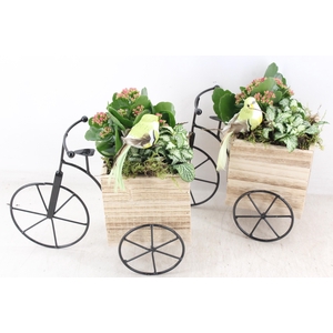 arr2 TD - Hout driewieler - roze