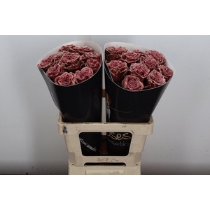 Wax-Rozen Wax Wit Zilver glitter