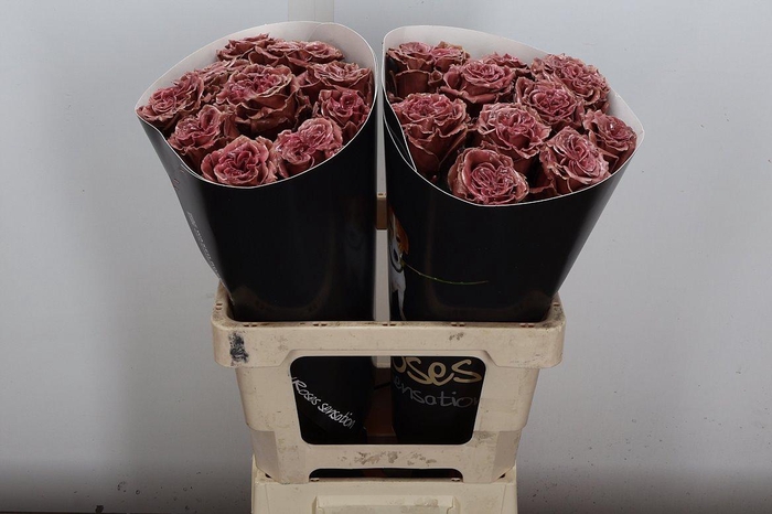 <h4>Wax-Rozen Wax Wit  Zilver glitter</h4>