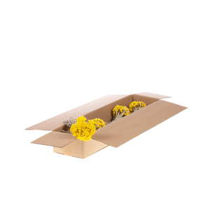 Immortelle Sb Natural Yellow