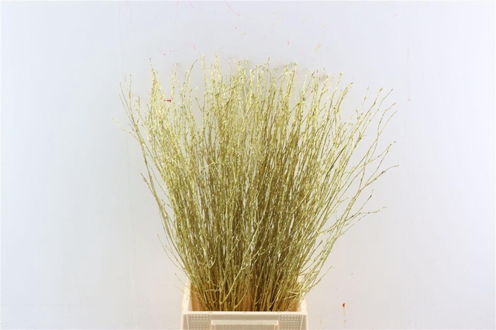 <h4>Berk 70cm Gl Goud Pbs</h4>