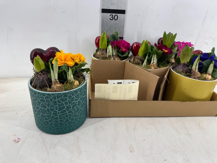 <h4>ARR PL IN SCHAAL</h4>