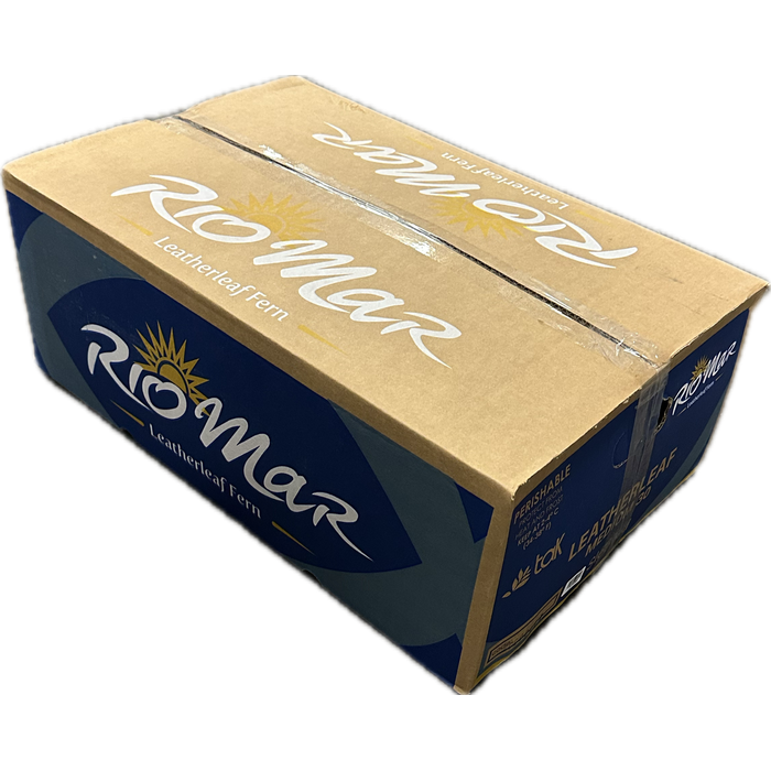 <h4>LEDERVAREN MEDIUM RIO MAR</h4>