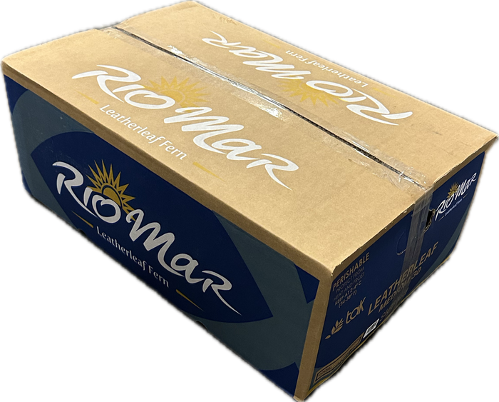 LEDERVAREN MEDIUM RIO MAR