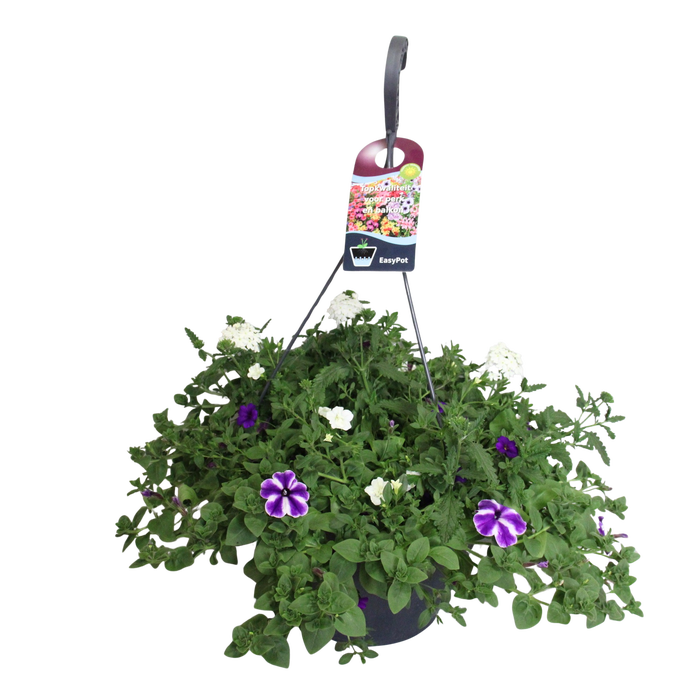 <h4>Hangpotten 37 cm met waterreservoir Mix 04 Lagoon mix</h4>