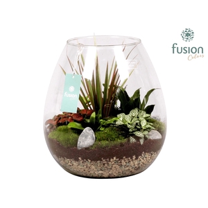 Green Bottle Abby XLarge met Groen Planten