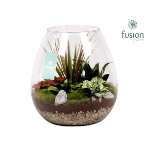 Green Bottle Abby XLarge met Groen Planten