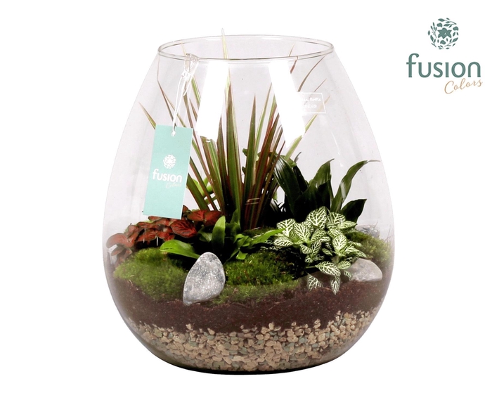 <h4>Green Bottle Abby XLarge met Groen Planten</h4>