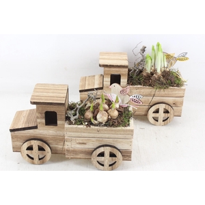 arr4 Bollenmix MB - Hout vrachtwagen 401/4