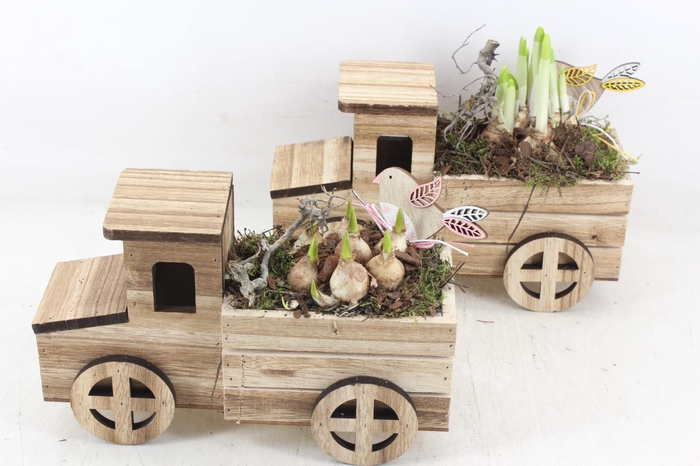 <h4>arr4 Bollenmix MB - Hout vrachtwagen 401/4</h4>