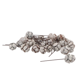Pick Nature Cypresse Stone White O/dr P/100