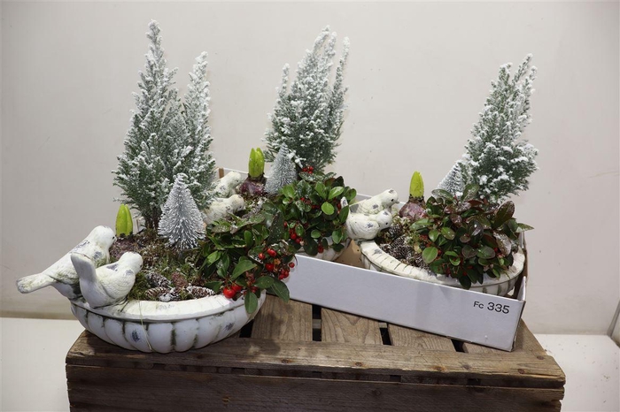 <h4>Arr Tuinplanten In Vogelvoederschaal</h4>