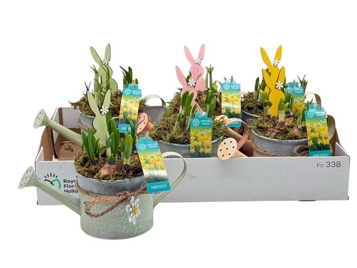 <h4>ARR N TETE A TETE</h4>