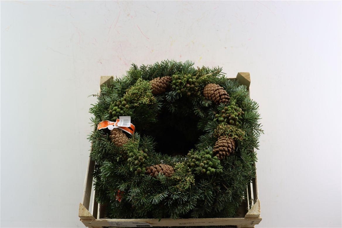 <h4>Wr Advent Naturel 40cm ( Melli)</h4>