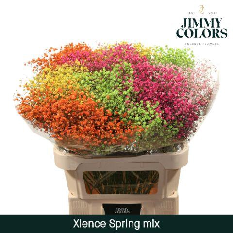 <h4>Gyps Xlence L80 Spring Mix</h4>