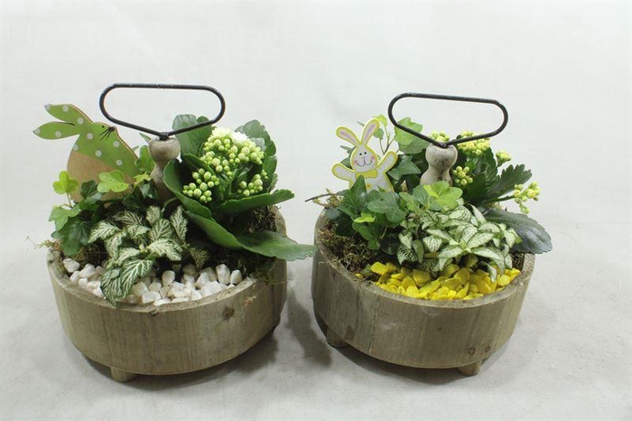 <h4>9853 ETAGERE ROND GEEL-WIT</h4>