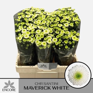 CHR S MAVERICK WHITE