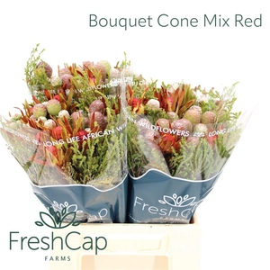 Bouquet Cone Mix Red