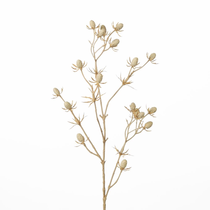 <h4>Af Eryngium Spray L61cm White</h4>