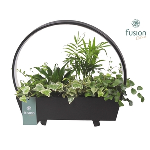 Lamp LED boog hout met Arrangement