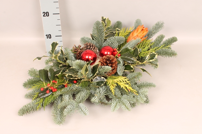 <h4>Natuur tak 60/40T +kerstbal</h4>