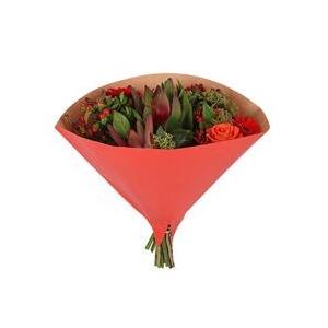 HOES KRAFT RED 35