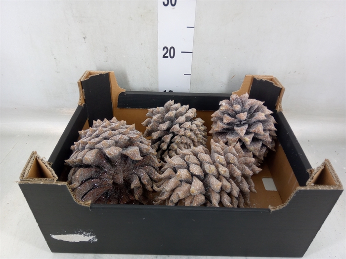 Decoratieve materialen   ...H%