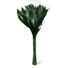 METAL ASPIDISTRA LEAVES GOLD EX