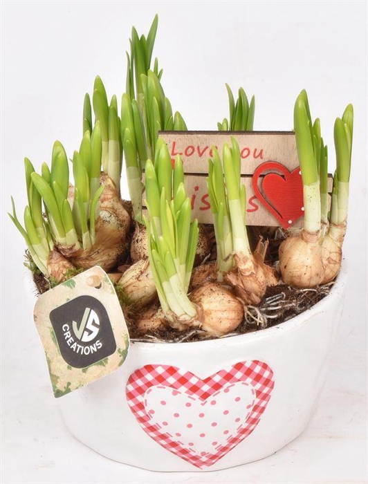 <h4>Keramiek schaal met hart 16cm</h4>