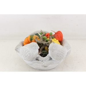 arr4 Sierfruit MB - Vogelschaal rond x2