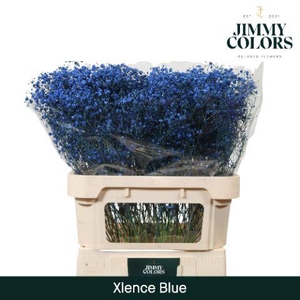 Gyps Xlence L80 Blue