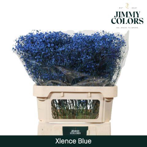 <h4>Gyps Xlence L80 Blue</h4>