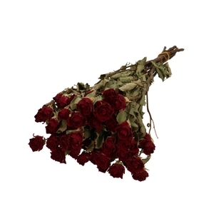 Dried flowers Rose spray 50cm x10