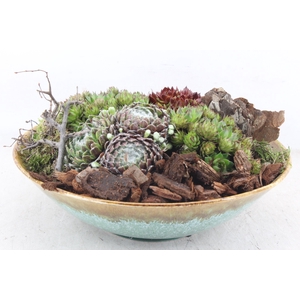 arr4 Semp PL - Ker. luxe schaal 402/1