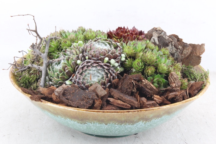 <h4>arr4 Semp PL - Ker. luxe schaal 402/1</h4>