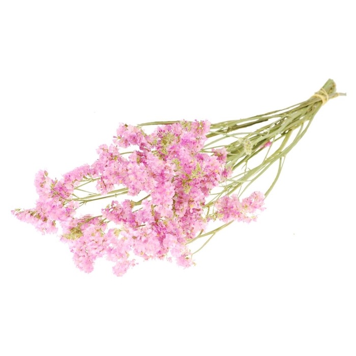 <h4>Statice Sinuata Natural Light Pink</h4>