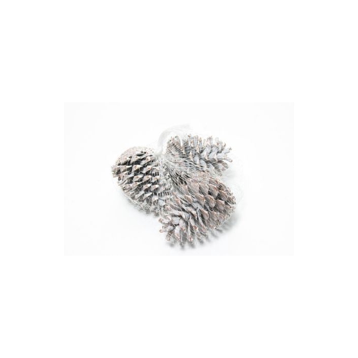 <h4>Pinecone Maritima 15 Pcs L10</h4>