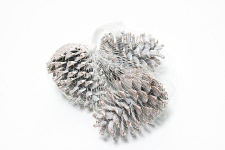 Pinecone Maritima 15 Pcs L10