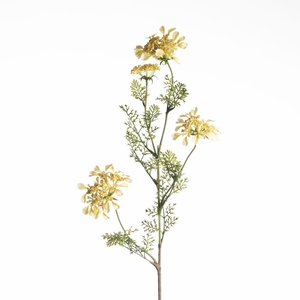 AF Daucus Carota L96cm Yellow