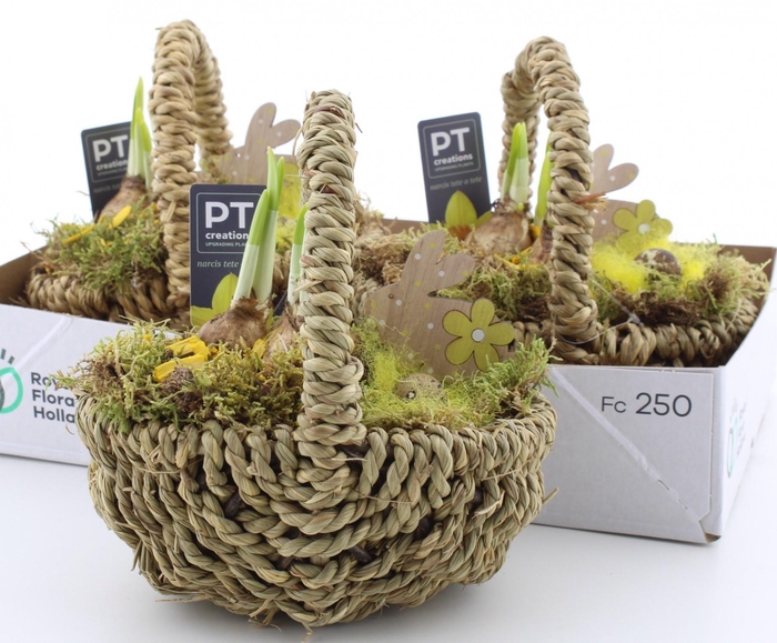 <h4>ARR N TETE A TETE</h4>