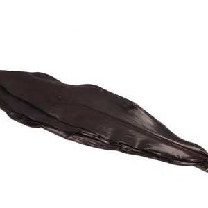 Cordyline Black Tie X5