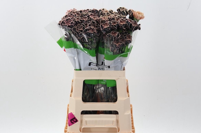 <h4>Di St Tinted Black Vintage</h4>