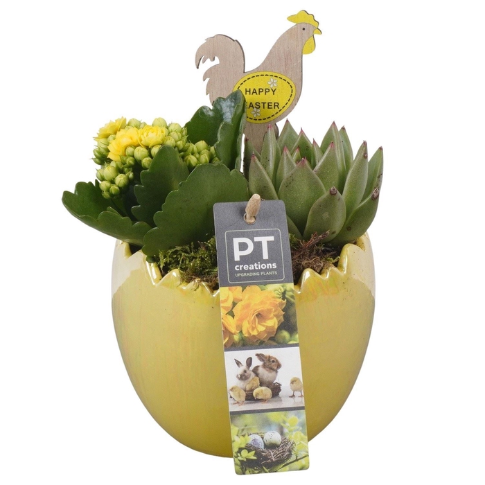 <h4>Arr. Pasen L%</h4>