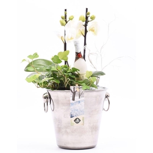 Champagnekoeler zilver 14 cm